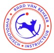 Logo RVB